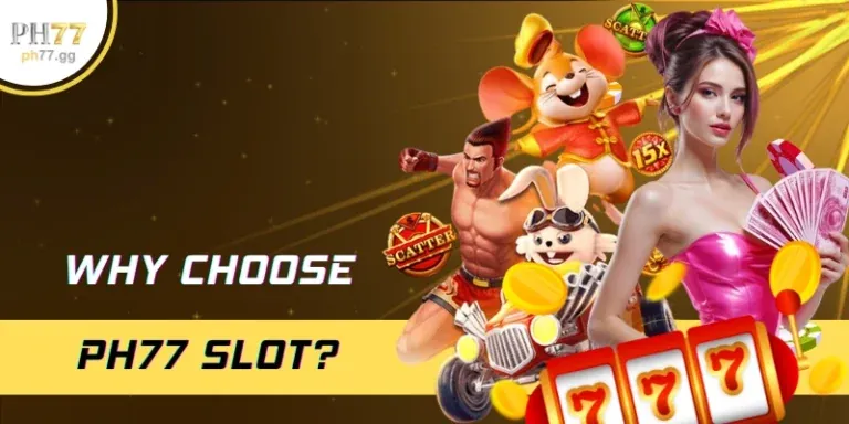 Hệ thống báo cáo son789